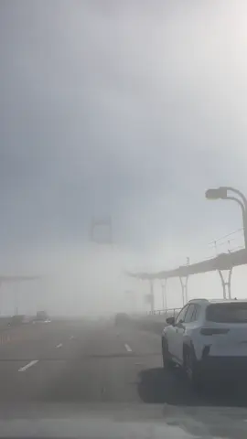 Driving through this heavy fog is such a magical feeling 🥰#goldengatebridge#foggyday #sanfrancisco 🌁