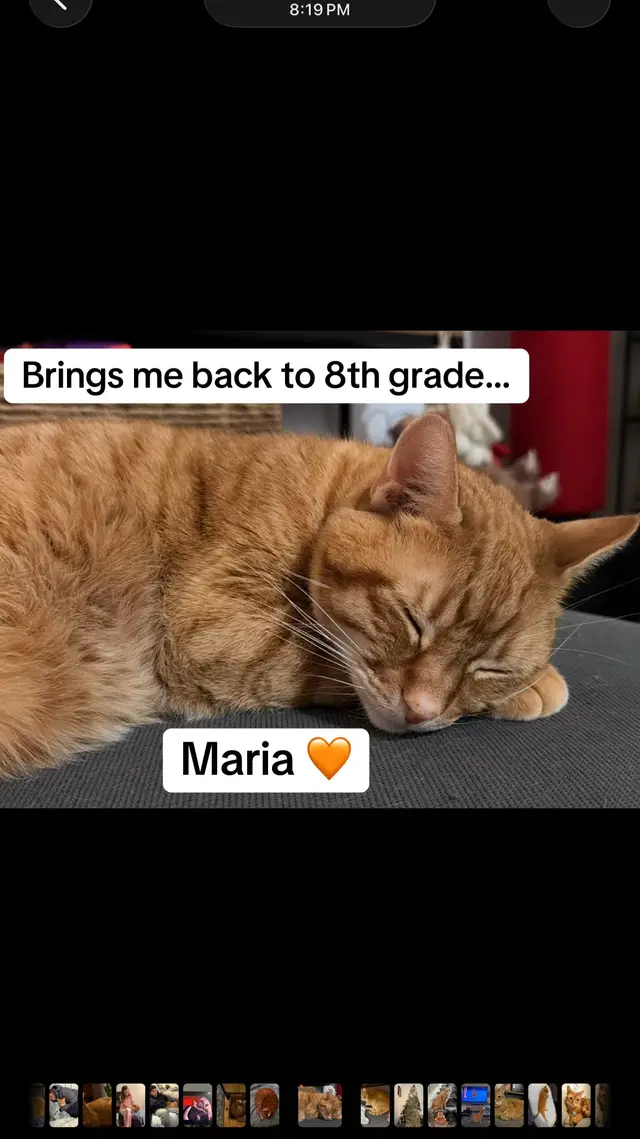 #cats #maria #tka #motivation #inspiration