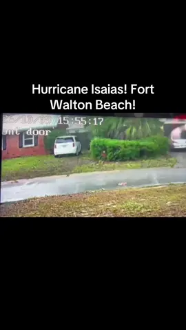 Hurricane Iasias! Fort Walton Beach! Tree falls on neighbors car 😭😱🥺😳