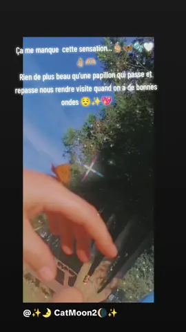 Cette paix et gratitude quand un papillon revient et se repose sur toi comme çà pendant 5/15mn c'est une faveur, une bulle de douceur, bref une expérience incroyable.... mais ça me manque car avant chaque été en allant bronzer dans mon jardin j'y avais droit + ou - longtemps...  Là c'était que sur ma main , la journée d'avant un peu sur l'épaule ou le pied  et le lendemain la tête...(les êtés d'avant c'était mon pied où le bain de soleil ☺️😅) L'énergie de bien être,  de paix en moi dans ces moments magiques ça n'a pas de prix... Un autre jour à nouveau peut être... (quand je pourrais enfin être soignée correctement de mon lupus apparemment... (quelle ironie)  et à nouveau appréhender sans danger le soleil...) #Butterflies #angels #sparkle #magicintheair #magicheart