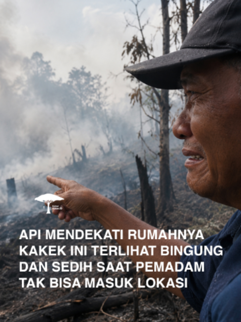 API MENDEKATI RUMAHNYA, KAKEK INI TERLIHAT BINGUNG DAN SEDIH SAAT PETUGAS PEMADAM TAK BISA MASUK KE LOKASI Momen mengharukan ini memperlihatkan seorang kakek yang tampak kebingungan dan sedih ketika api semakin mendekati rumahnya, sementara petugas pemadam mengalami kesulitan untuk masuk ke lokasi. Situasi seperti ini tentu mengundang kekhawatiran. Di tengah ancaman api yang terus mendekat, keselamatan warga menjadi hal yang paling utama. Namun, hingga video ini dibagikan, belum ada keterangan yang jelas mengenai lokasi kejadian maupun kondisi terkini sang kakek. Kami juga belum dapat memastikan apakah rumahnya berhasil diselamatkan atau bagaimana keadaan beliau saat ini. Bagi teman-teman yang mengetahui lokasi kejadian ini atau memiliki informasi terbaru tentang kondisi sang kakek, mohon bantu informasikan di kolom komentar. Semoga beliau dan warga di sekitar lokasi selalu dalam keadaan aman, serta api dapat segera dikendalikan. #kabarhutanid #Karhutla #KebakaranHutan #KebakaranLahan #Relawan #kabarhutanindonesia