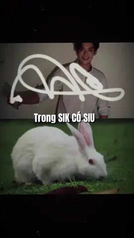 Đổi chữ kí để trong SIK CÓ SIU hỏ 🤭#loidenghicuacongtovien #kimyoonsik #parksiwoo 