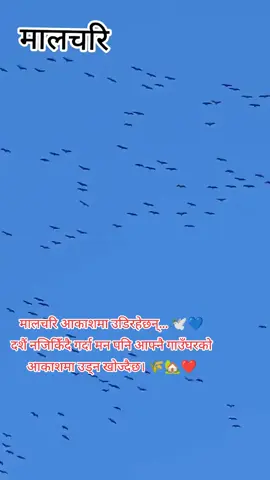 #tiktoknepal @SaNeY ᥫ᭡ @Anju🫶Krishna💍❤️ @C❤️M💫 