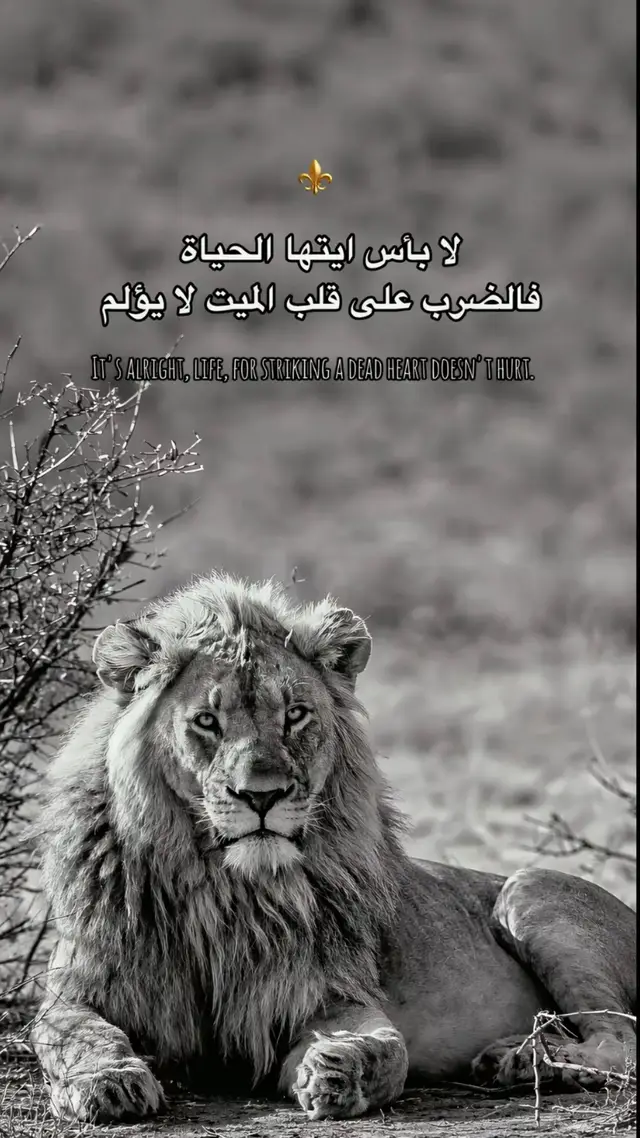 تبداً من الداخل. بدلاً من التركيز على ما ينقصك، ابدأ بتقدير ما تملكه الان. .تمرين بسيط دون كل يوم ثلاثة اشياء بسيطه جعلتك تبتسم (كوب تهوهة، رسالة من صديق ، او حتى لحظه هدوء). هذا يدرب عقلك على رصد الايجابيات وسط الضجيج. . توقف عن المقارنه: تذكر ان وسائل التواصل الاجتماعي تعرض افضل اللقطات فقط فلا تقارن كواليس حياتك المتعبه بعروض الاخرين المثالية. 2.ادارة العقل والمشاعر. افكارك هي التي تلون عالمك،، إذا كانت سوادية، سيصبح العالم باهتاً. عش الحظه؛ القلق هو عيش في المستقبل الذي لم يأت بعد ،والندم هو عيش في الماضي الذي انتهى .ركز على الانّ. تقبل المشاعر؛ الحيات ليست سعادة دائمة . من الطبيعي ان تحزن او تغضب: تقبل هاذا المشاعر واعطي نفسك حقها في التعبير ثم امض قدما. 3. الاستثمار في العلاقات: الانسان كائن اجتماعي بطبعه، جود دائرة داعمة هو سر الصمود النفسي. النوعيه لا الكمية: صديق واحد حقيقي يفهم صمتك خير من مئه صديق للمجاملات. .العطاء : مساعدة الاخيرين تفرز هرمونات السعادة ^الاندورفين). اصنع يوماً جميلاً لشخص اخر،وستجد ان يومك اصبح أجمل، رسالة من صديق، او حتى لحظه هدوء. هذا يدرب عقلك على رصد الايجابيات وسط الضجيج. . توقف عن المقارنه:تذكر ان وسائل التواصل الاجتماعي تعرض أفضل اللقطات فقط فلا تقارن كواليس حياتك المتعبه بعروض الاخرين المثالية . 2.ادارة العقل والمشاعر. افكارك هي التي تلون عالمك،، إذا كانت سوادية، سيصبح العالم باهتا. عش الحظه؛ القلق هو عيش في المستقبل الذي لم يأت بعد ،والندم هو عيش في الماضي الذي انتهى .ركز على الانّ. تقبل المشاعر؛ الحيات ليست سعادة دائمة . من الطبيعي ان تحزن او تغضب: تقبل هاذا المشاعر واعطي نفسك حقها في التعبير ثم امض قدما. 3. الاستثمار في العلاقات: الانسان كائن اجتماعي بطبعه، جود دائرة داعمة هو سر الصمود النفسي. النوعيه لا الكمية: صديق واحد حقيقي يفهم صمتك خير من مئه صديق للمجاملات. .العطاء : مساعدة الاخيرين تفرز هرمونات السعادة -الاندورفين). اصنع يوماً جميلاً لشخص اخر، وستجد ان يومك اصبح #libya🇱🇾 #fyp #pov #viral #طرابلس 