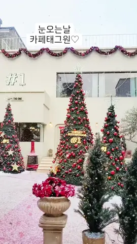 #christmas #christmasdecor #christmastree #christmastime #christmaslights 