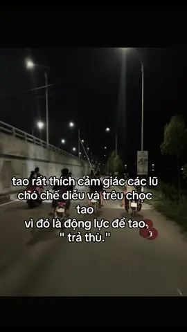 tao rất thích cảm giác các lũ chó chế diễu và trêu chọc tao  vì đó là động lực để tao 