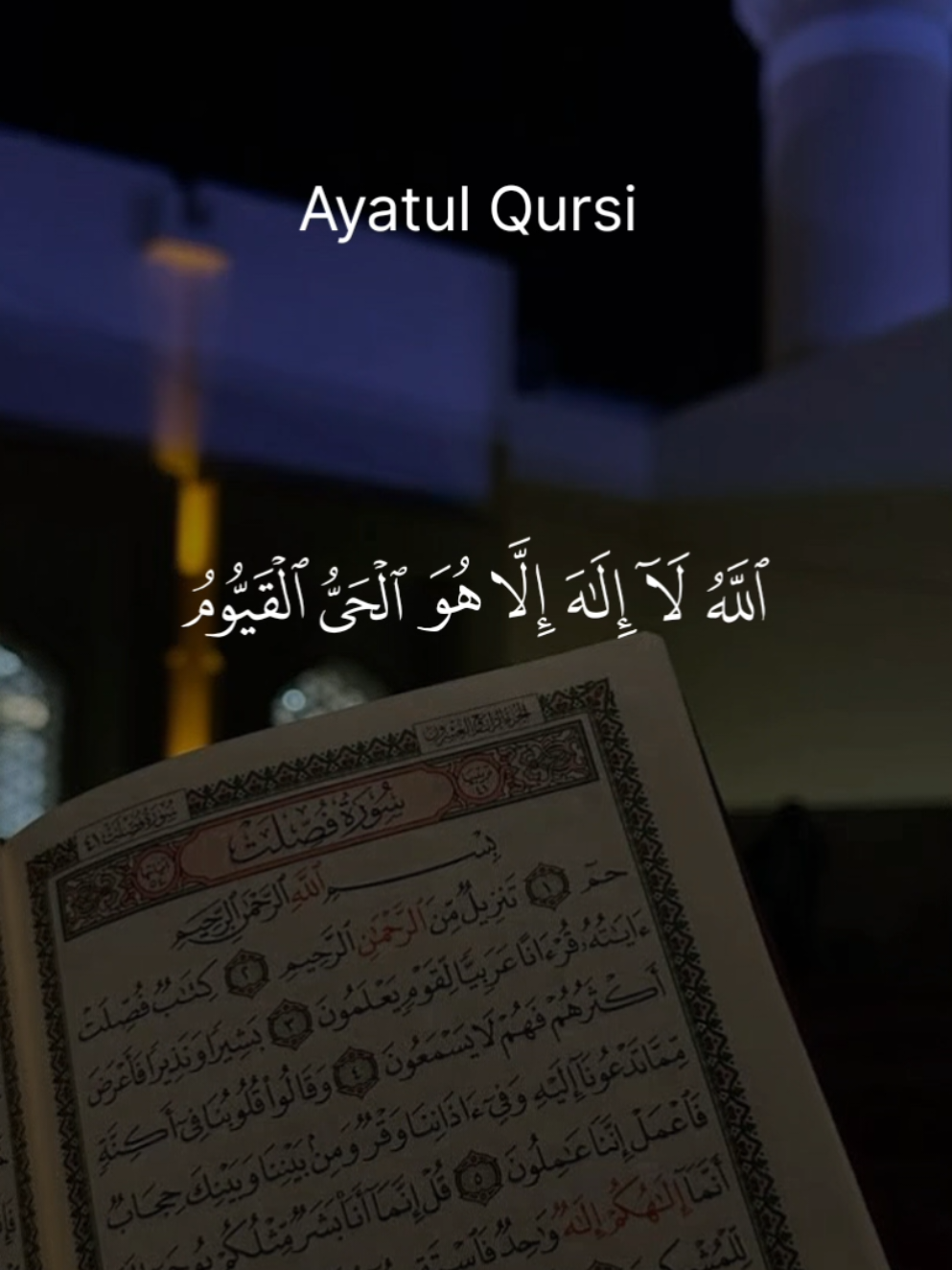 #quran #قران_كريم #quranrecitation #تلاوة_خاشعة #quranvideo 
