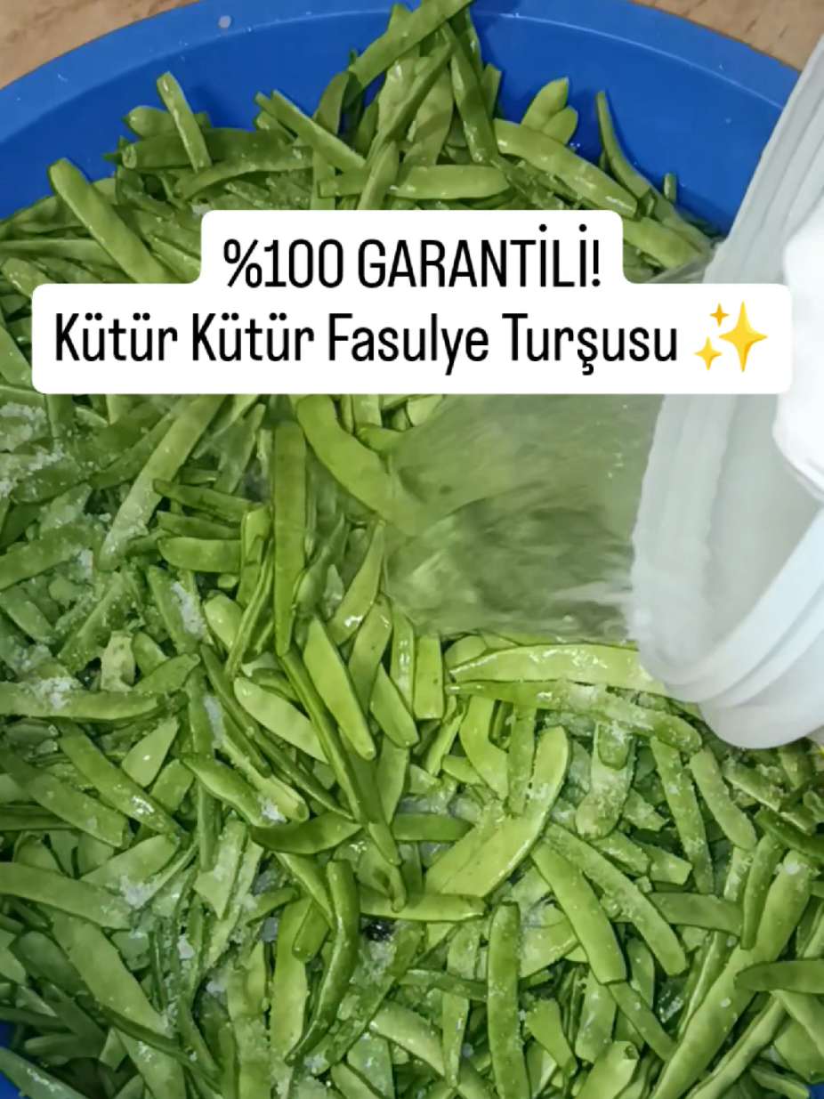 Bu tarifte asit ve lezzet dengesini en üst noktaya çıkarmak için sirke kombinasyonu kullanılır. Ben yarım bardak elma, yarım bardak üzüm sirkesi kullandım ve ikisi de ev yapımıydı. Eğer sizin elinizde ev yapımı sirke yoksa, asit oranı iyi olan hazır market sirkesini de bu şekilde elma ve üzüm olarak ikisini karıştırıp kullanabilirsiniz. Turşunun kaderini belirleyen bu aşamada tuz ve sirke dengesi kütür kütür olmanın anahtarıdır. Kavanoza Basma ve Kapatma: Haşlanıp istenen kıvama gelen fasulyeleri, bidonun en altındaki malzemelerin üzerine aralarında hiç boşluk kalmayacak şekilde çok sıkı bir şekilde doldurun. En üst malzemelerini ve kürdanı yerleştirin. Fasulyeleri içinden aldığınız o haşlama suyunu bidonun ağzına kadar doldurup kapağı sıkıca kapatın. . . #fasulye  #turşu #turşuyapımı #evyapımı #keşfet 