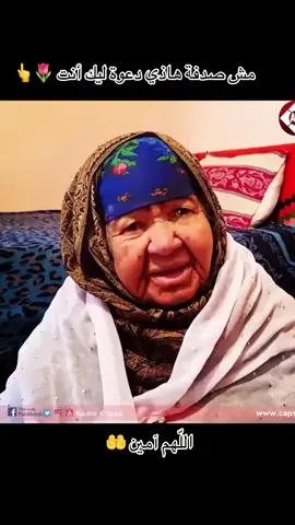 #تبسة_بئرالعاتر_الشريعة_الجزائر 