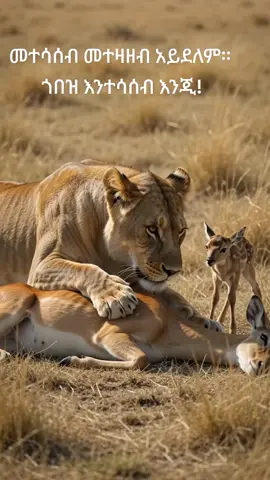 As long as we think bad things about each other, let us at least think of each other!