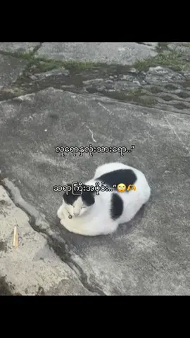 😾💐