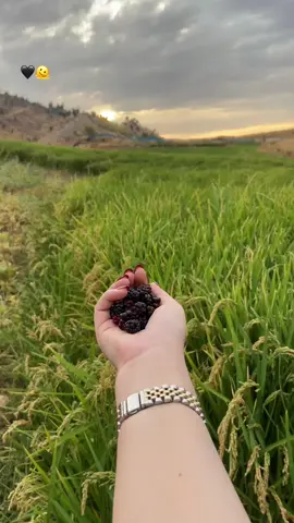 🌚🖤…!