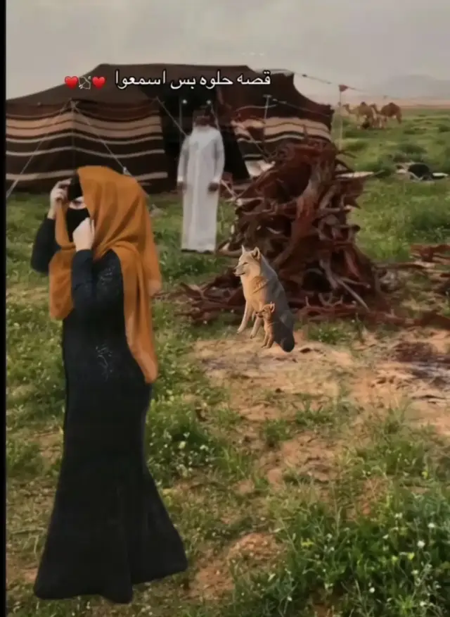 #كسسسسسسبلووووووررر 