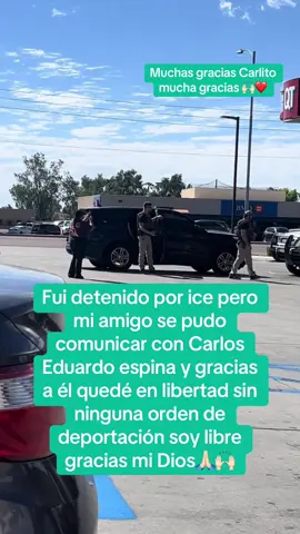 #usa🇺🇸 #ice #persilvania🇺🇸 #persilvania🇺🇸 #florida 