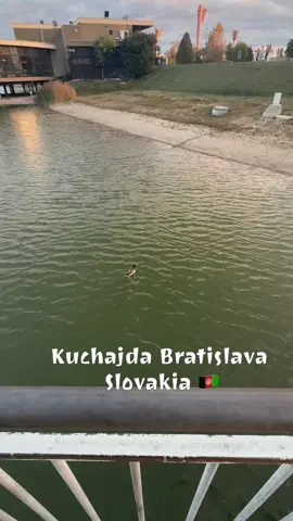 #viral #bratislava#fyp 