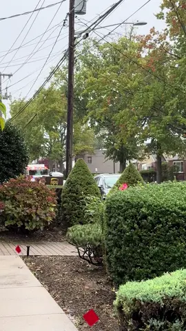 Rescue 719