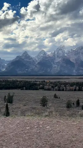 #wyoming #grandtetons #viral #fyp 