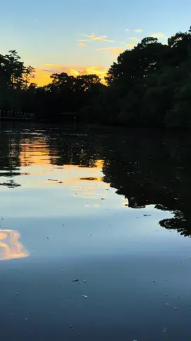 #fyp #sunset #waterfront 
