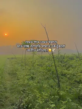 যেমন গান তেমন সকাল  মনে হচ্ছে চোখেরি সামনে এক টুকরো অতীত দাঁড়িয়ে.!🙂‍↔️🕊️