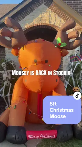 Moosey is Back!!! #christmas #christmasinflatables #christmasdecor #christmasoutdoordecor #christmaslights 