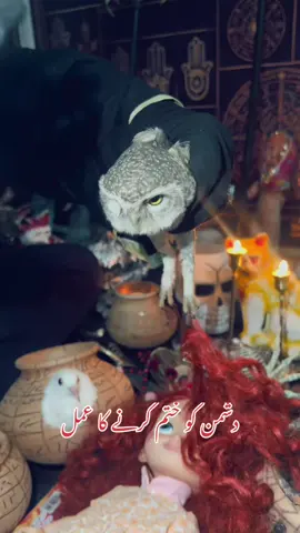 دشمن کو ختم کرنے کا عمل #blackmagic #amliyat #unfareezmyaccount #1millionviews #foryou 
