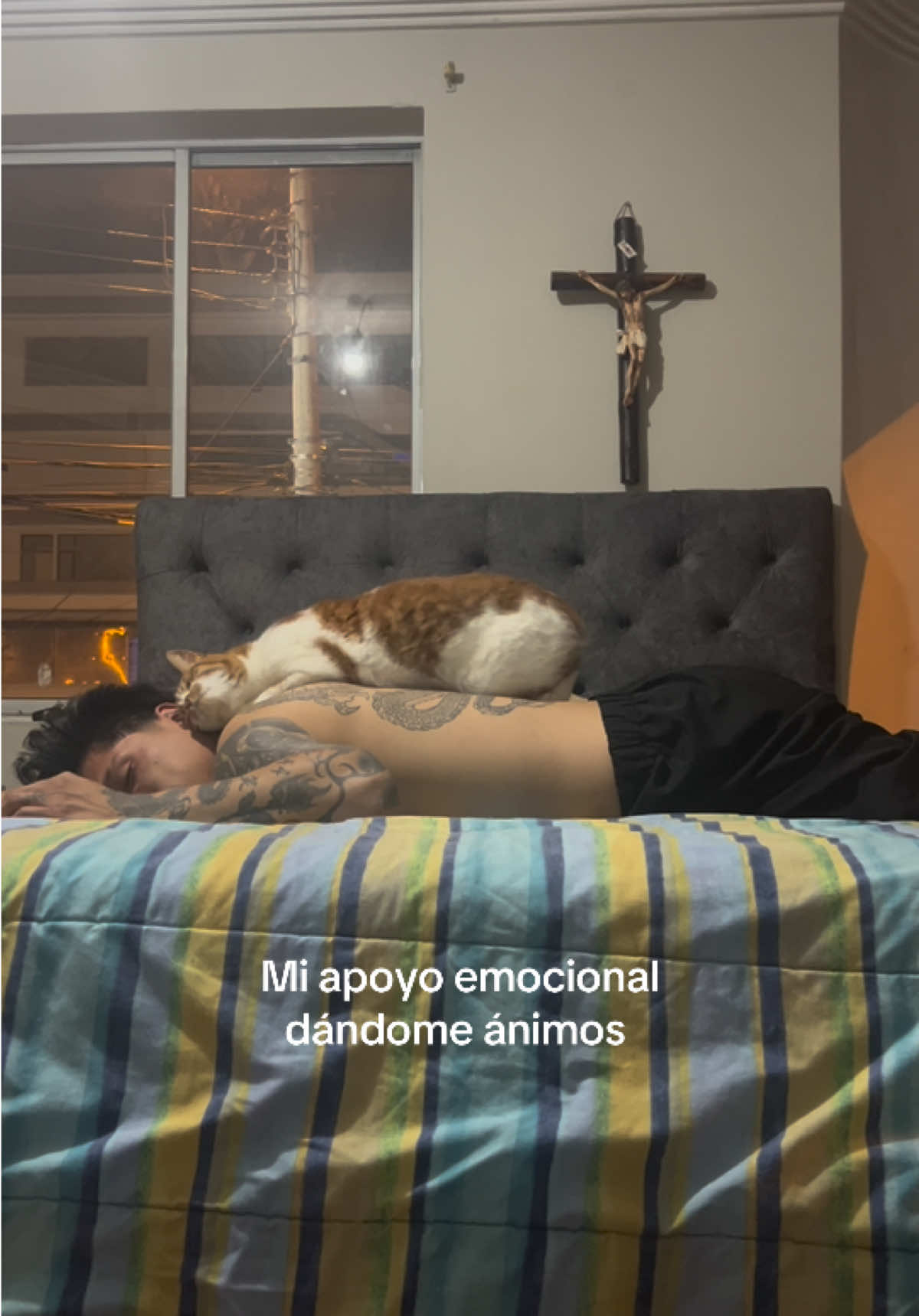 Convenciéndome de no estar triste  #fyp #gatitos #contenido 