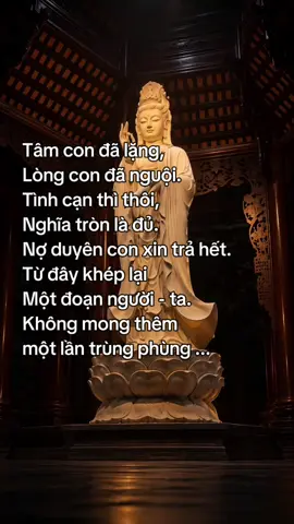 Tâm con đã lặng, Lòng con đã nguội. Tình cạn thì thôi, Nghĩa tròn là đủ. Nợ duyên con xin trả hết. Từ đây khép lại một đoạn người - ta. Không mong thêm một lần trùng phùng ... #phatphapvidieu #phatphapnhiemmau #hocphat #phatphapchualanh #hocphatmoingay 
