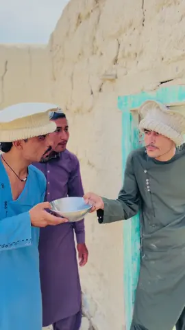 د سپی کفړ دی  #funny 