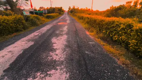 Một túp liều tranh hai quả tim vàng? #chill #canhdepthiennhien #mientayquetoi #binhyen #xuhuongtiktok 