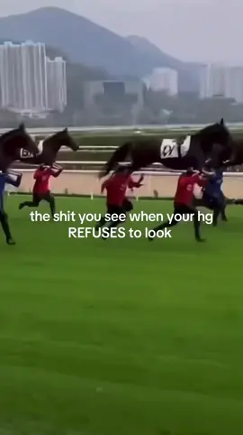 idek what this is this is just a filler @𖤐∘˚𝄞ᗰᵃʸᯓඩා @sanityassassin333  #shitpost #horseracing #random #foryou