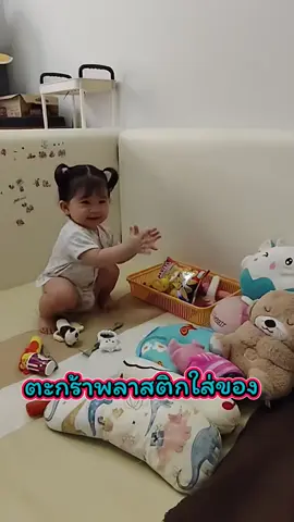 ตระกร้าพลาสติก