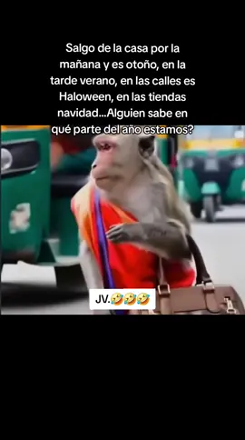 #Jeney.VH memes. 