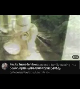 YouTube’s Recycle Bin encompasses all videos on YouTube which have not been properly titled, usually keeping just their file name - this leads to them never being pushed out by the algorithm, leaving them forgotten to time. only to be found when you yourself search up their specific file name. one has to wonder where all the people who recorded these videos must be at now  #youtuberecyclebin #oldyoutube #internetarchive #oldweb #lostmedia 