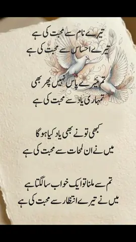 🔸لمحات سے محبت کی ھے🔸 #fyp #shaikhwr8 #urdupoetry #viralditiktok #viewsproblms 