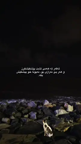 galak grana.#kurdistan #Rekani #sheladze #foryou #rekani 