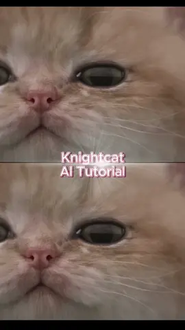 knight cat #PixVerse#PixVerseCreators  
  #catknight #catknight  #FantasyAdventure kitten with sword meme   | kitten with sword |kitten holding sword meme | kitten knight original video  knight real footage
