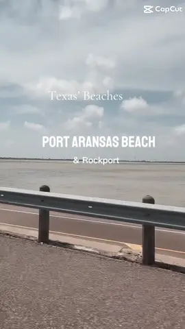 When in Texas, drive to the gulf coast. Would you drive to them?        Let me know if you want my route. #fyp #gulfofmexico #texas #knjcreativevisiontravel  #gulf 