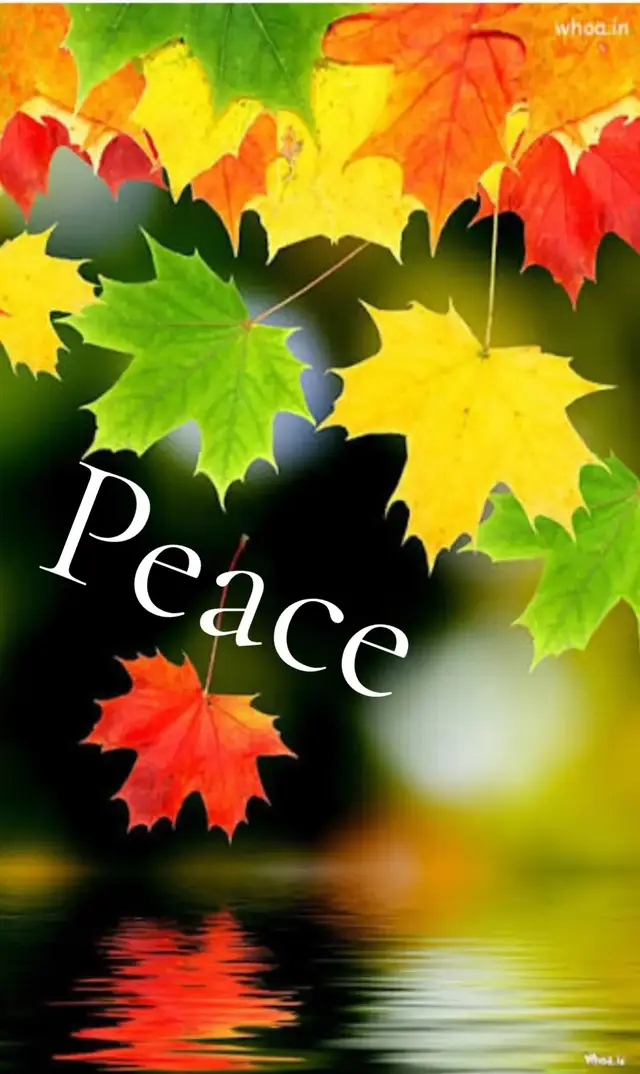 #peace#strong#fyp#positive#SelfCare