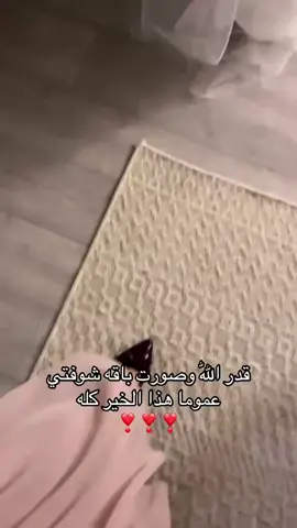 ❤️❤️❤️❤️❤️