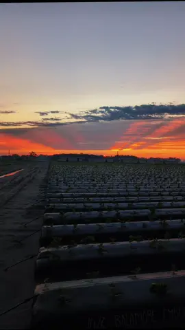 #amanecer 