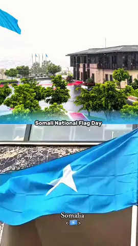 adiga leh ana leh # cawaale#12october #viralvideo #somalitiktok 