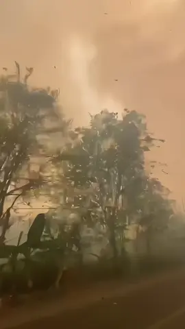 “Tidak separah di sosmed” #karhutla #kalimantan #kebakaranhutan #karhutlakalimantan 