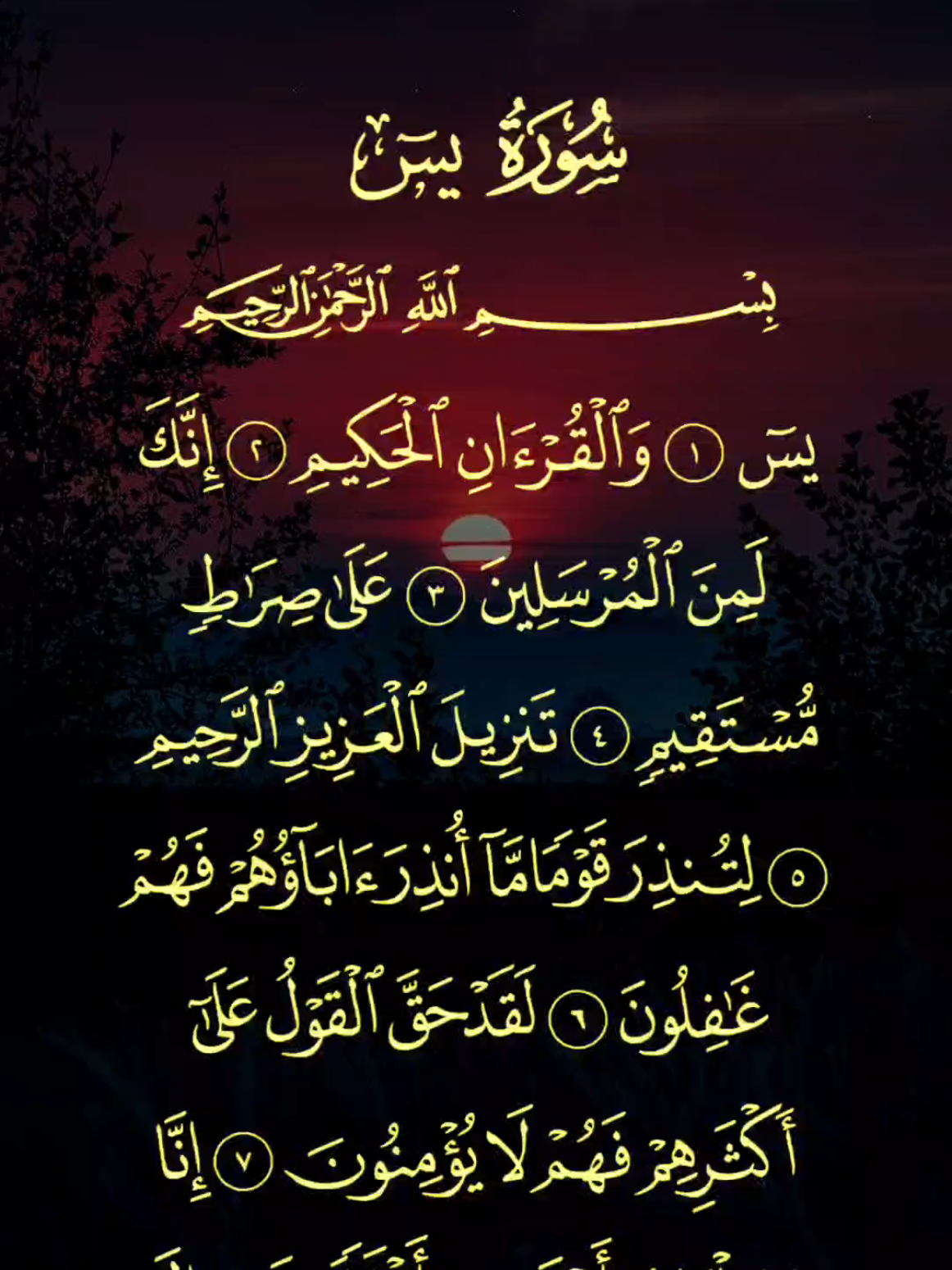 سورة يس تلاوة كاملة فارس عباد  #القران_الكريم_راحه_نفسية😍🕋  #صلوا_على_رسول_الله  #قران #قران_كريم #quran 