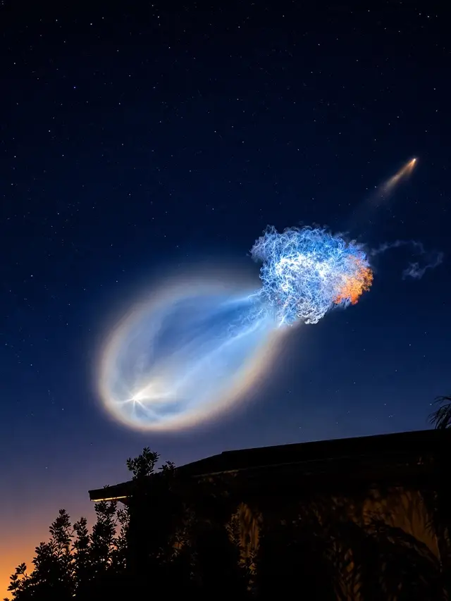 Falcon 9 Jellyfish 🪼 🚀 Space X launch in Florida #jellyfish #spacex #falcon9launch #falcon9 #rocketlaunch 