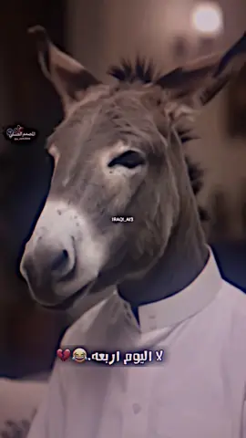 ﮼اليوم ﮼شني ﮼من ﮼لايام ﮼كلولنه ﮼ولايكعدابوصابر😂#المصمم #العسلي #العماره_والايتي_مشاهير_العماره #مدارس#خاين 