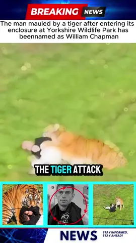 The man mauled by a tiger after entering its enclosure at Yorkshire Wildlife Park has been named as William Chapman#UKNews #BreakingNews #YorkshireWildlifePark #NewsUpdate #UKStories