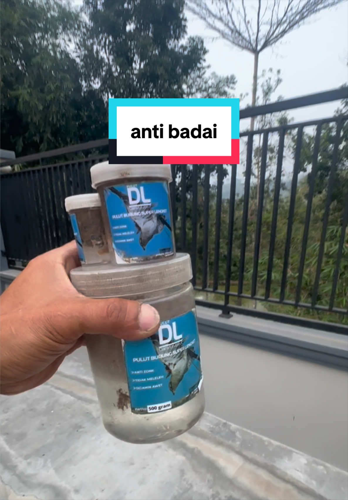 pulut burung terbuat dari getah bendo #pulutburung #mikatburung #kicaumania #bolang