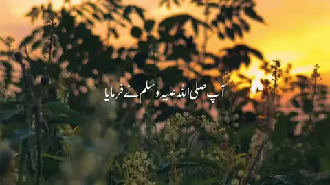 آپ صلی اللہ علیہ وسلم نے ارشادہ فرمایا #unfrezzmyaccount #creatorsearchinsights #hadiah #foryoupage 