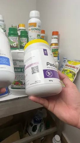 Combo Padave Wp 500g và Roto 500ml Khắc tinh tuyến trùng bảo vệ bộ rễ#padave #tuyentrung #tuyentrungre #tuyentrunghairecay #vattunongnghiep 