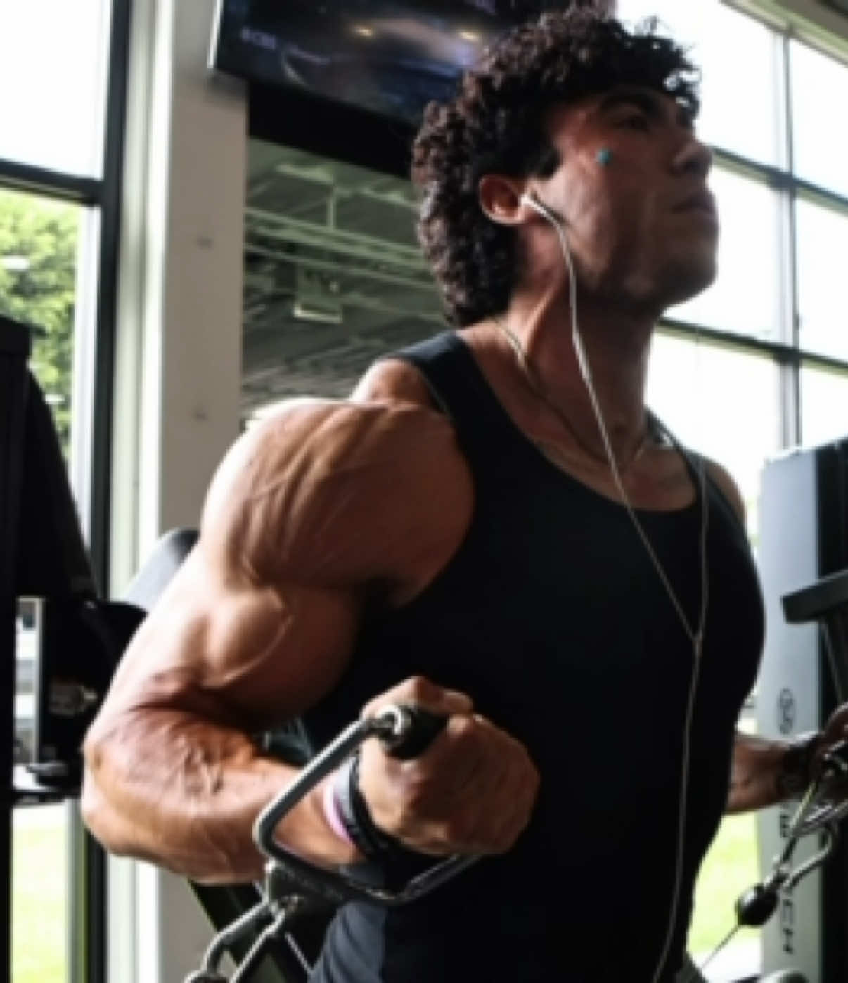 bulked aesthetics #dialed 